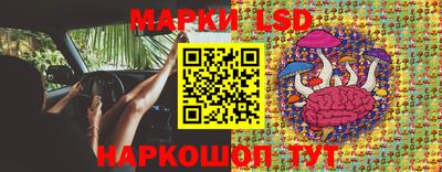 тгк Канаш