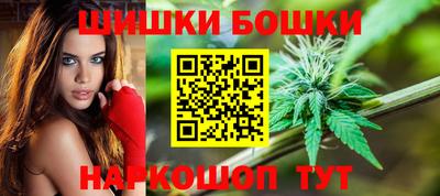 мдпв Камышлов