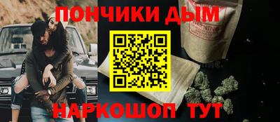 мдпв Камышлов