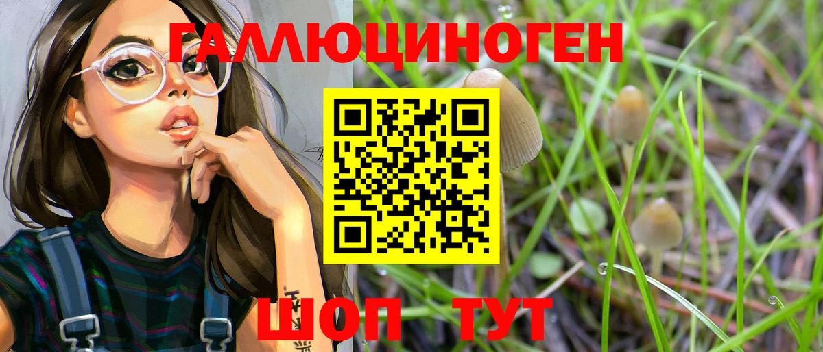 Галлюциногенные грибы мухоморы Черкесск