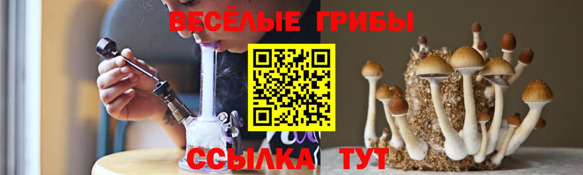 Черкесск  Галлюциногенные грибы GOLDEN TEACHER  Галлюциногенные грибы Psilocybe  Вход с VPN 